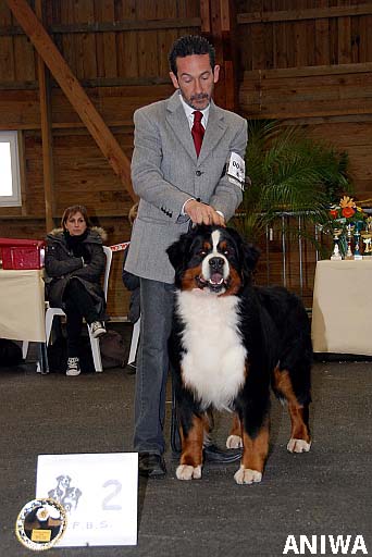 Publication : du Haras de la Vergne Auteur : HARAS DE LA VERGNE