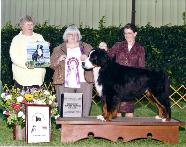 Publication : du Haras de la Vergne Auteur : HARAS DE LA VERGNE