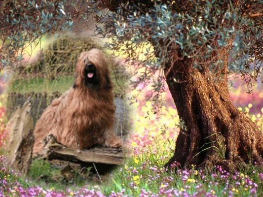 Publication : du noble nid