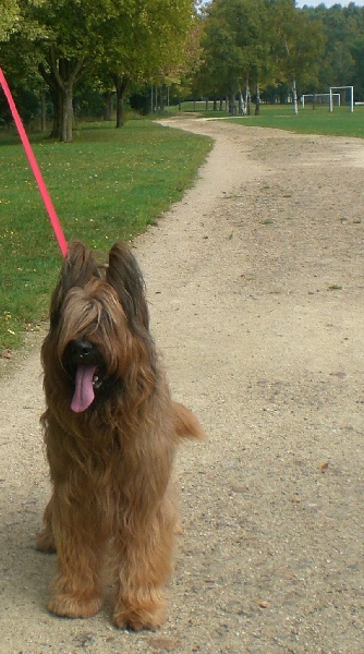 Publication : des gardiens du petit ange