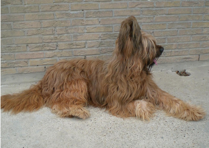 Publication : des gardiens du petit ange