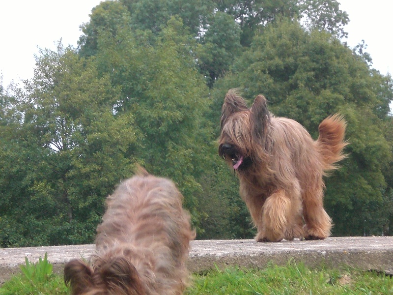 Publication : des gardiens du petit ange