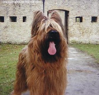 Publication : des gardiens du petit ange