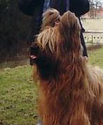 Publication : des gardiens du petit ange