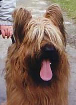 Publication : des gardiens du petit ange