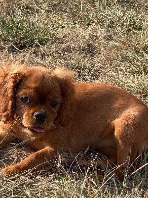 changement de nom possible