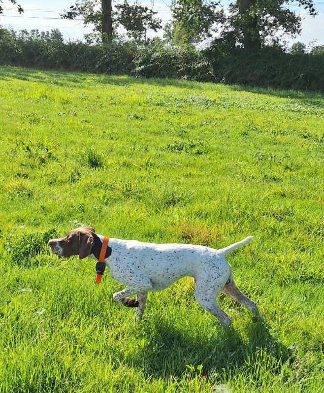 SAM du vallon de Beaudini