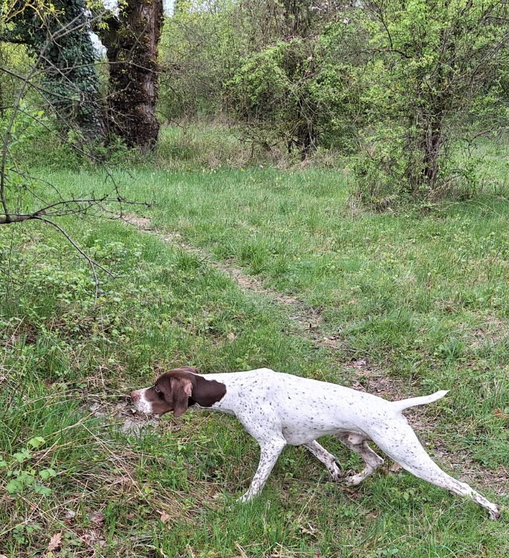 SAM du vallon de Beaudini