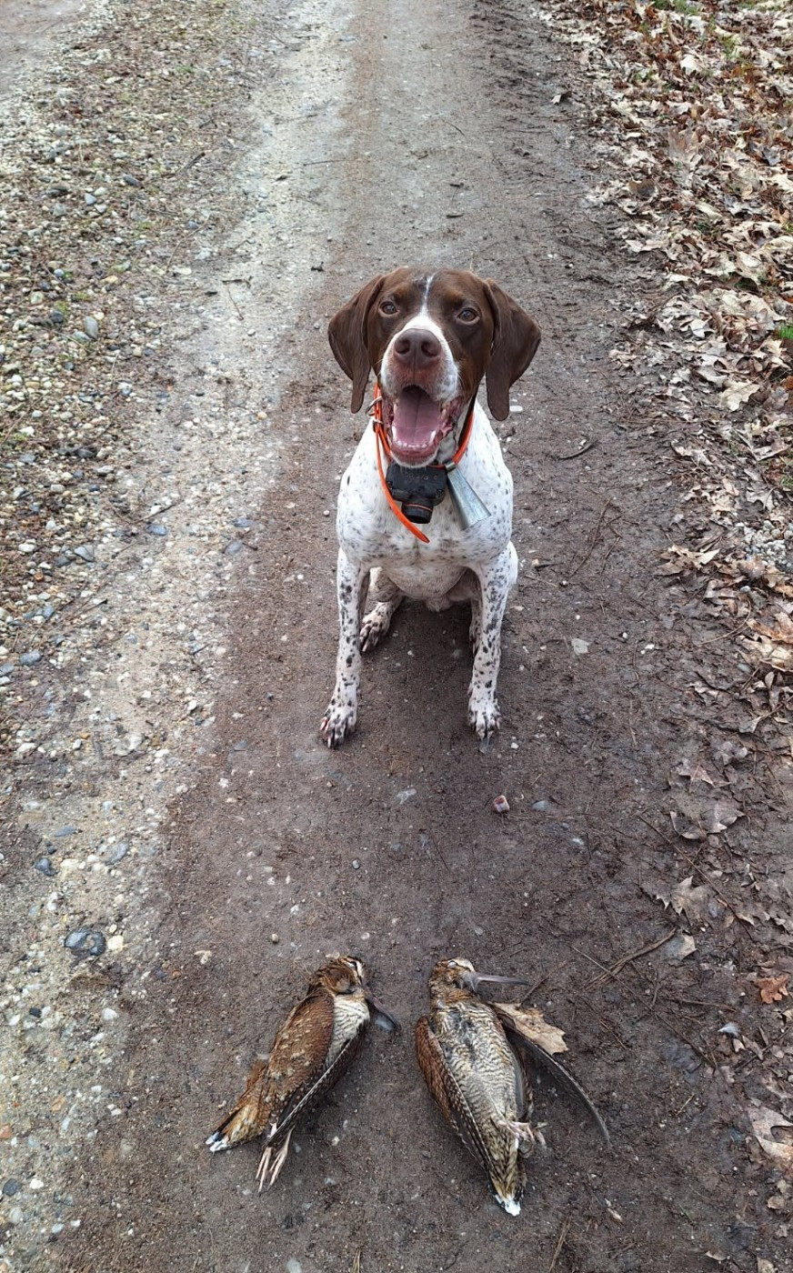 SAM du vallon de Beaudini