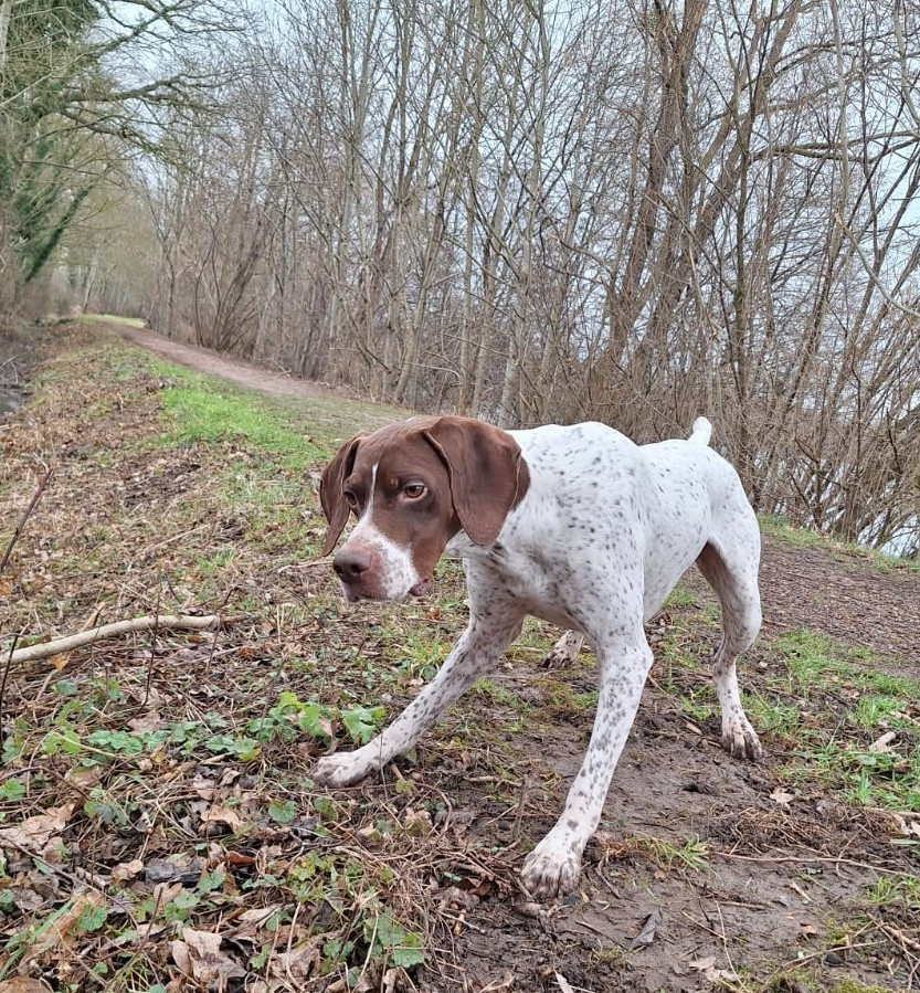 SAM du vallon de Beaudini