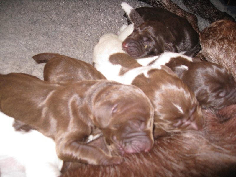 Publication : du vallon de Beaudini