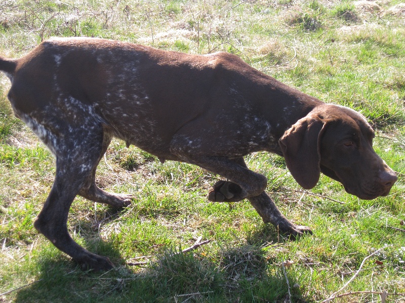 Publication : du vallon de Beaudini