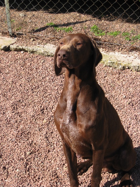 Publication : du vallon de Beaudini