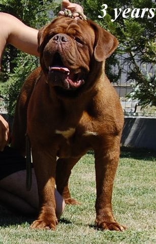 Publication : Du regard de breizh