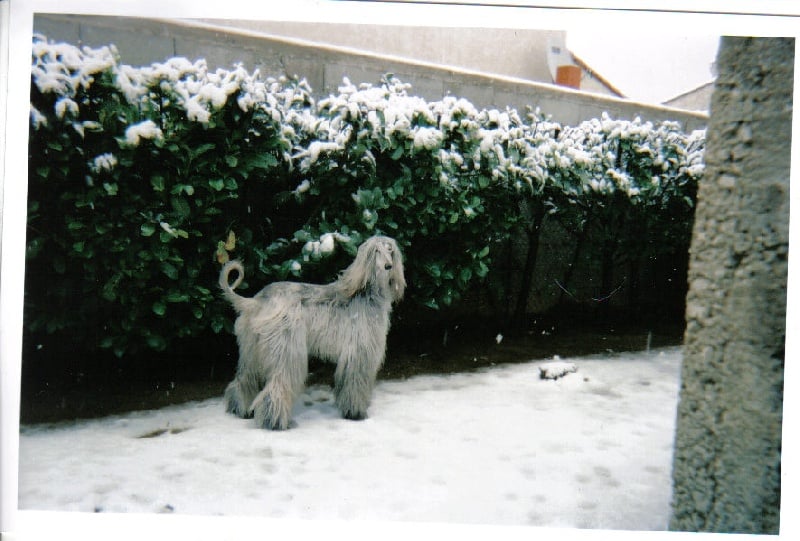 Publication : atar'ra of suliman jad