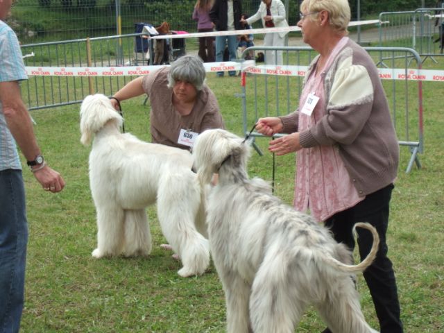 Chunky atar'ra of suliman jad