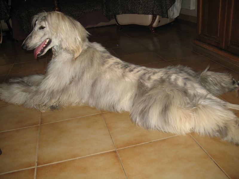 Chunky atar'ra of suliman jad