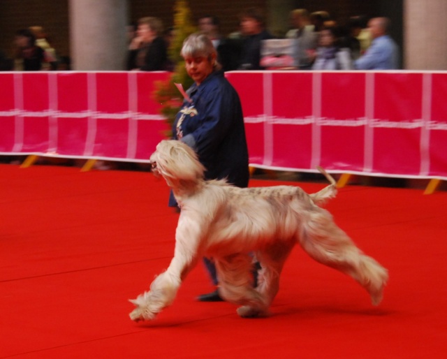 Chunky atar'ra of suliman jad