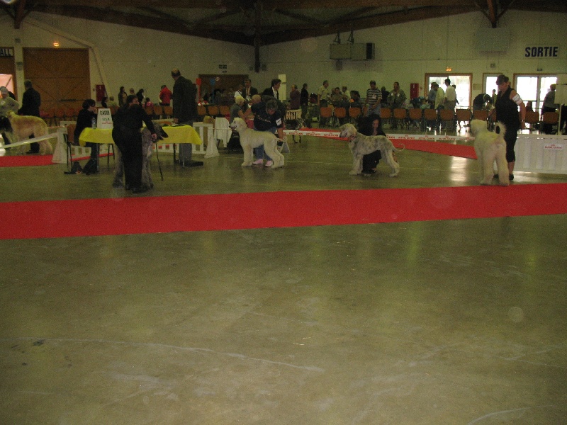 Chunky atar'ra of suliman jad