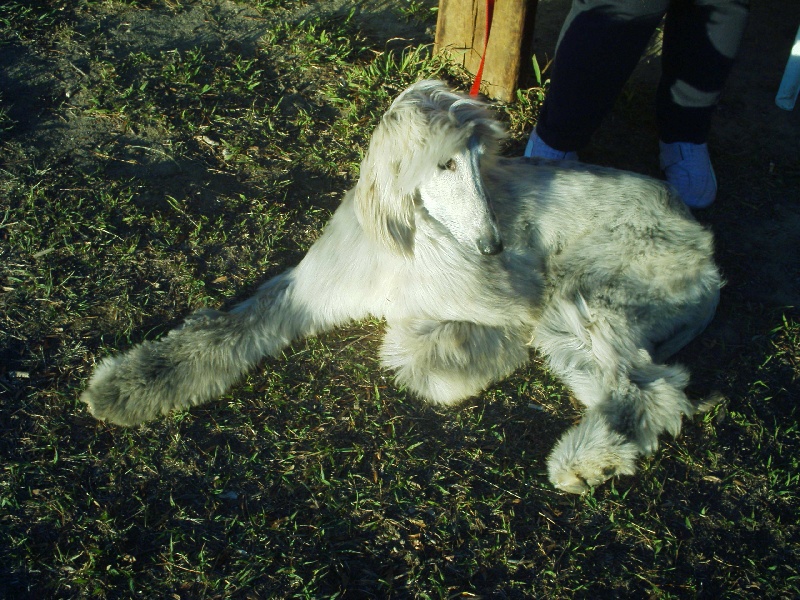 Chunky atar'ra of suliman jad