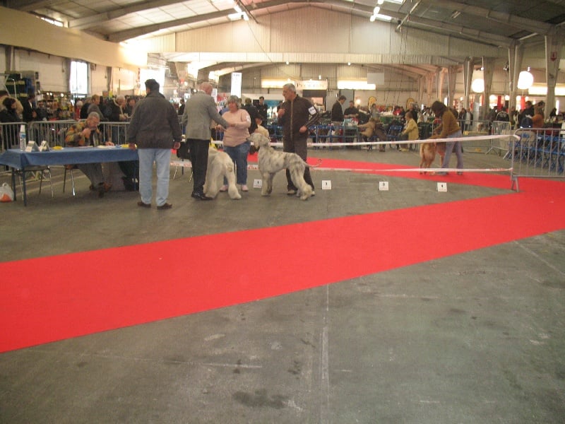 Chunky atar'ra of suliman jad