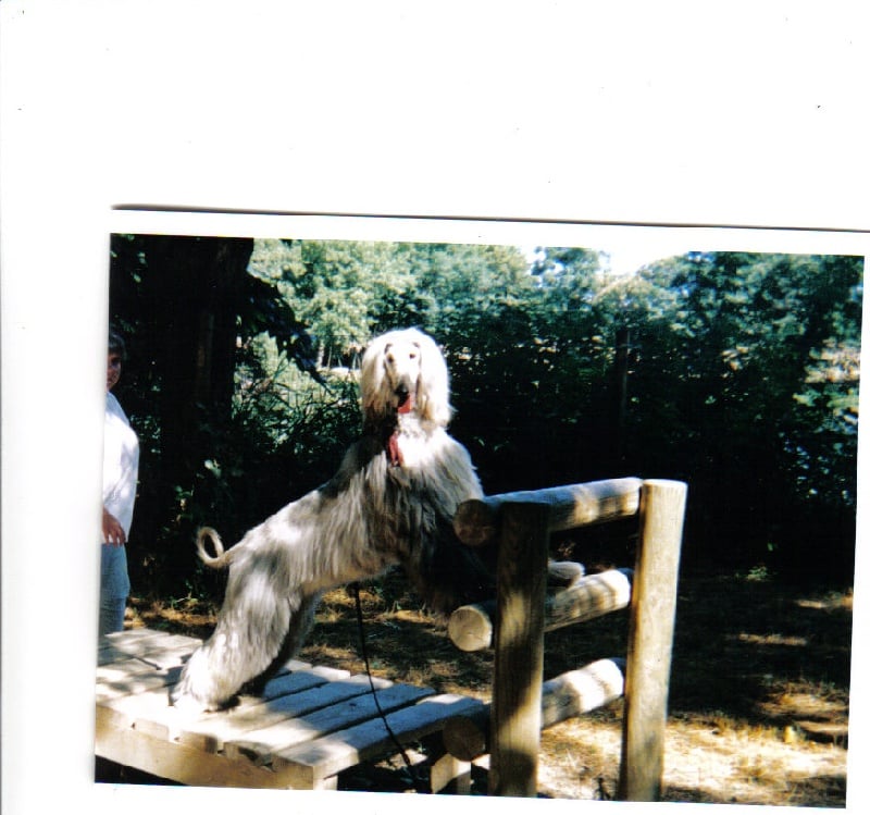 Publication : atar'ra of suliman jad