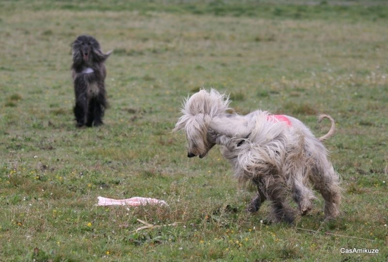 Cherkan atar'ra of suliman jad - 1e exc cacp