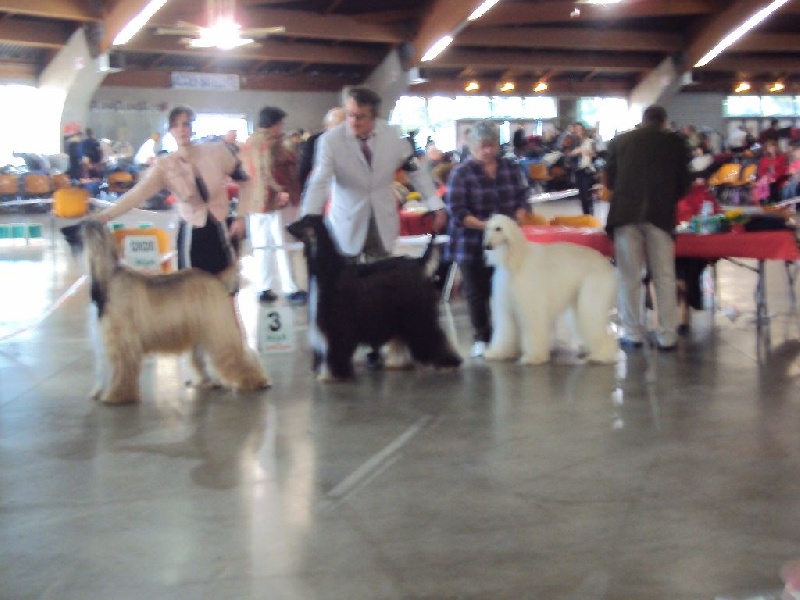 Cherkan atar'ra of suliman jad - 4 e exc