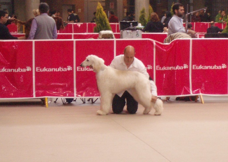 Cherkan atar'ra of suliman jad - 1e exc meilleur jeune