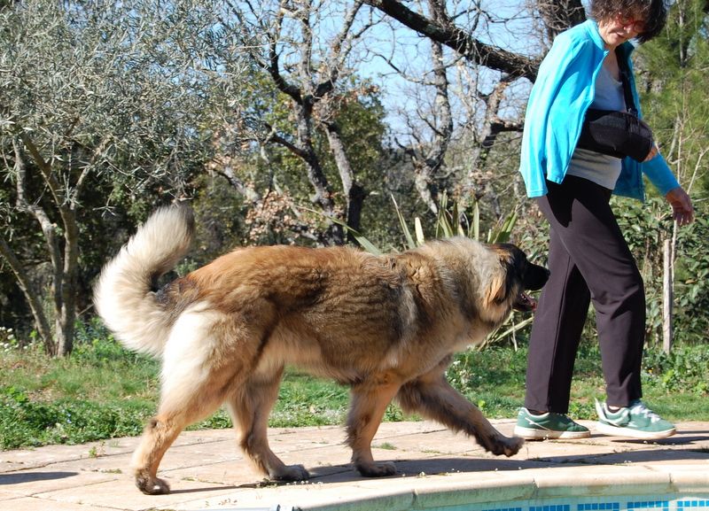 Viti levu Du Charme De Montrésor