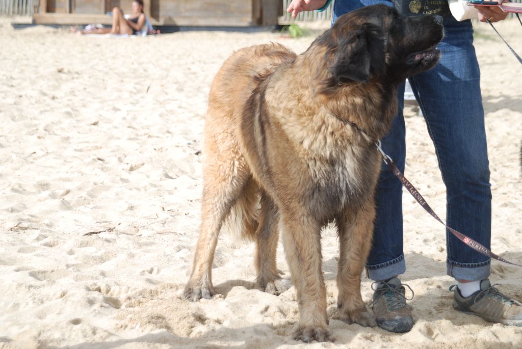 Praslin lavezzi de l'aulp de fier