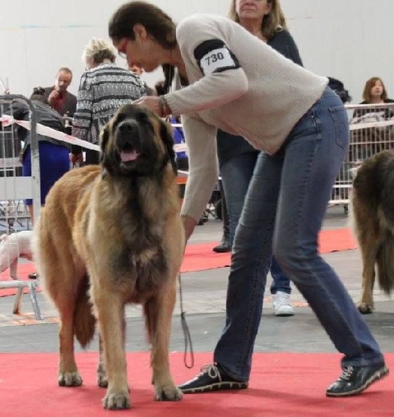 Galante atoll de l'aulp de fier - 3ème Excllent en classe ouverte