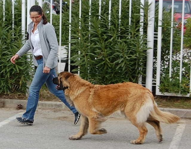 Galante atoll de l'aulp de fier - CACS