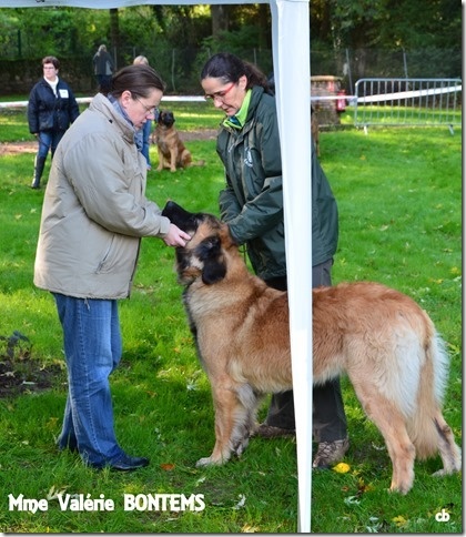 Galante atoll de l'aulp de fier - EXELLENT