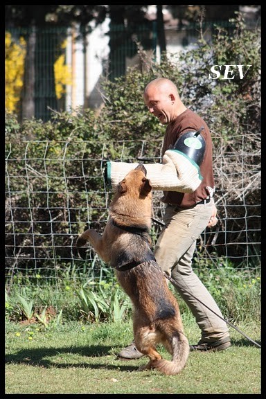 Publication : De la bastide du val de cagnes Auteur : MARTANI.TEAM/CALDIN