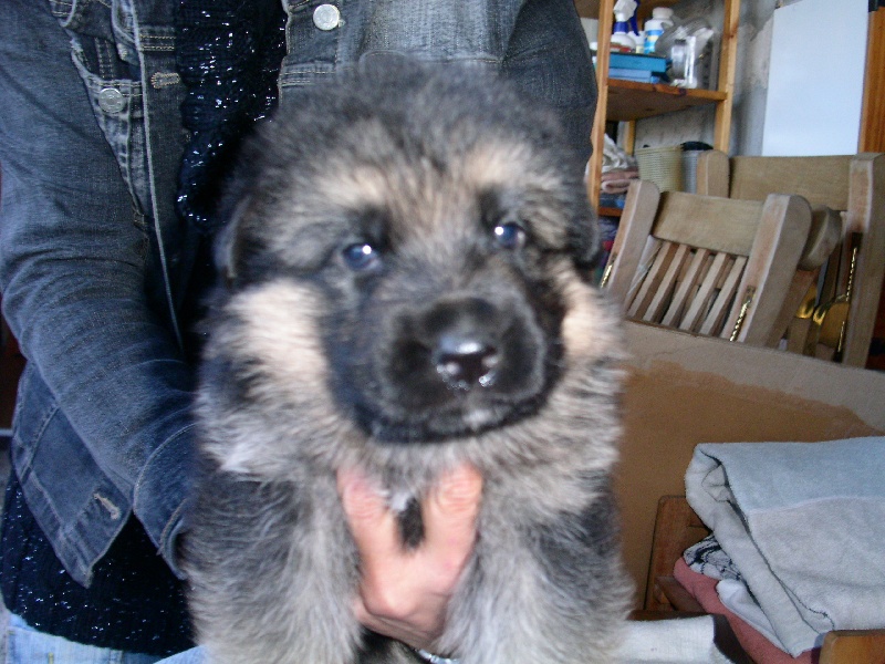 Publication : De la bastide du val de cagnes Auteur : MARTANI.TEAM/CALDIN