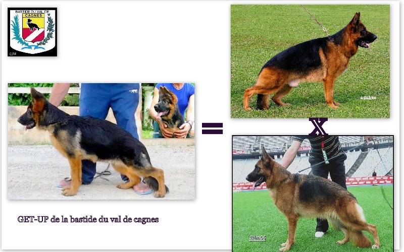 Publication : De la bastide du val de cagnes Auteur : @jM06/CALDIN