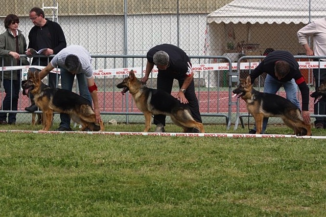 Publication : De la bastide du val de cagnes Auteur : @jM06/CALDIN