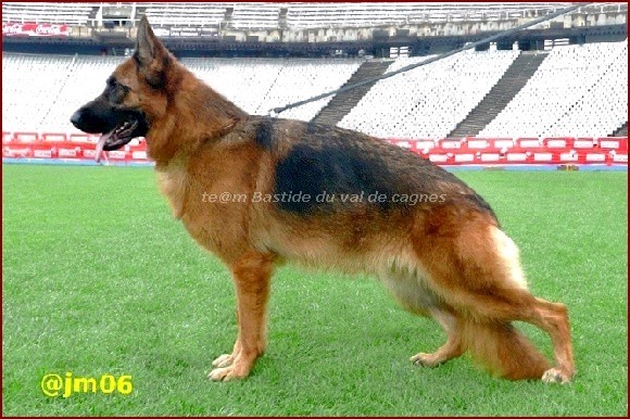 Publication : De la bastide du val de cagnes Auteur : @jM06/CALDIN