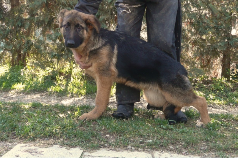 Publication : De la bastide du val de cagnes Auteur : @jM06/CALDIN