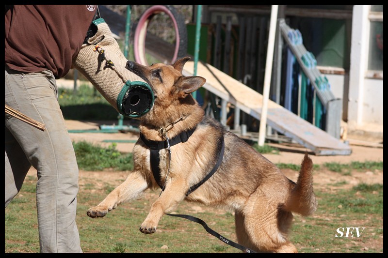 Publication : De la bastide du val de cagnes Auteur : MARTANI.TEAM/CALDIN