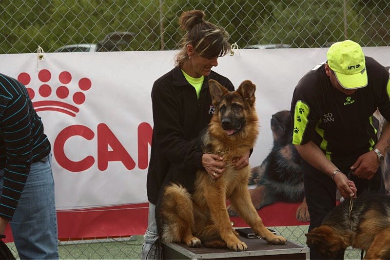 Publication : De la bastide du val de cagnes Auteur : @jM06/CALDIN