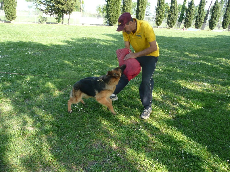 Publication : De la bastide du val de cagnes Auteur : MARTANI.TEAM/CALDIN