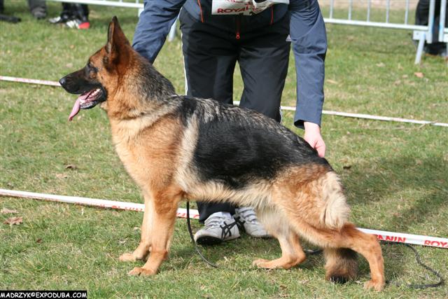 Publication : De la bastide du val de cagnes Auteur : MADRICK