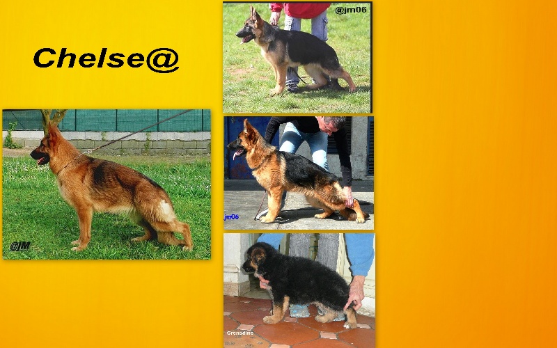 Publication : De la bastide du val de cagnes Auteur : MARTANI.TEAM/CALDIN