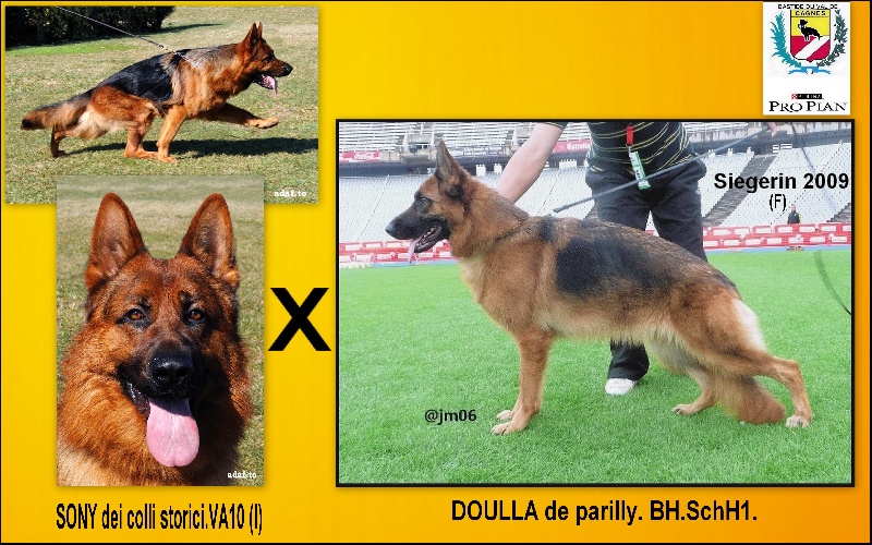 Publication : De la bastide du val de cagnes Auteur : @jM06/CALDIN