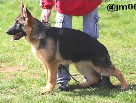 Publication : De la bastide du val de cagnes Auteur : MARTANI.TEAM/CALDIN