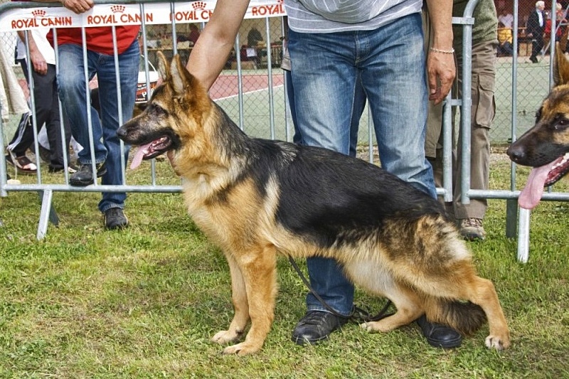 Publication : De la bastide du val de cagnes Auteur : @jM06/CALDIN