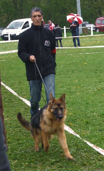 Publication : De la bastide du val de cagnes Auteur : @jM06/CALDIN