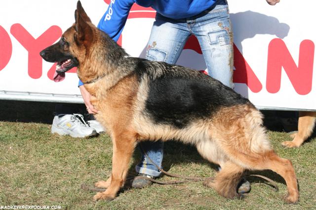 Publication : De la bastide du val de cagnes Auteur : MADRICK